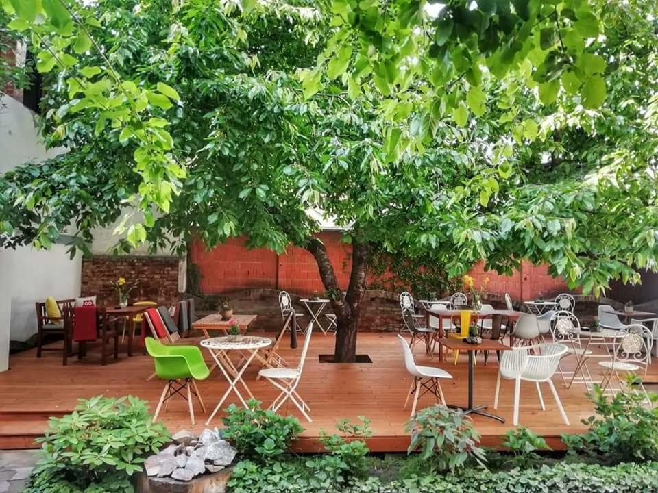 Appartement Casa Miron 1 à Timişoara Extérieur photo