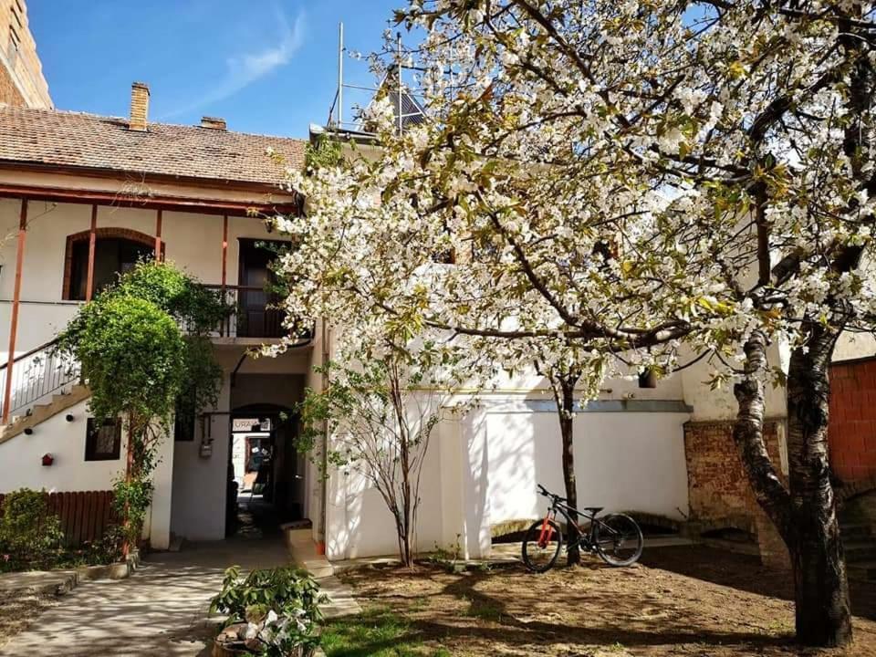 Appartement Casa Miron 1 à Timişoara Extérieur photo